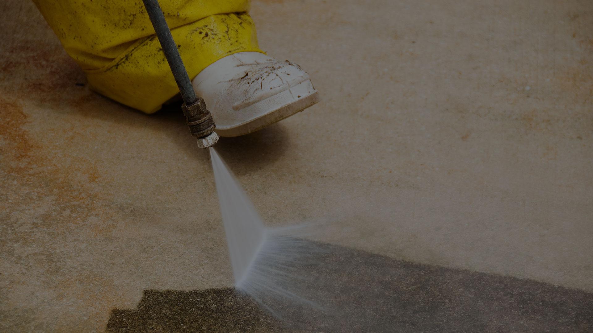 roof cleaning