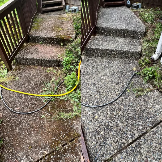 Complete House Cleaning in Bellevue, WA