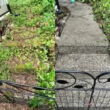 Bellevue House Cleaning 1