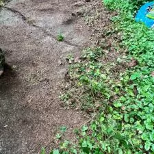 Bellevue House Cleaning 4