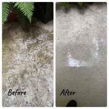 twin mansion cleaning in bellevue, wa 5