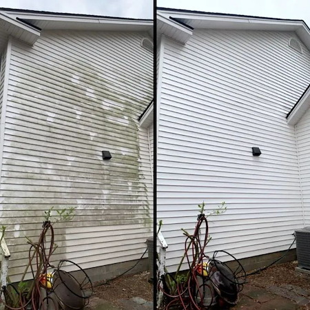 Washington exterior house washing guide protecting siding northwest mold algae