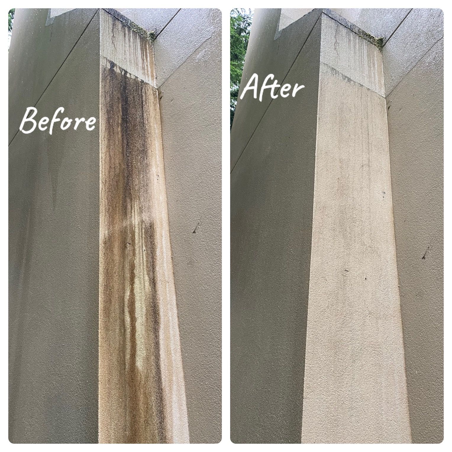 Twin mansion cleaning bellevue wa