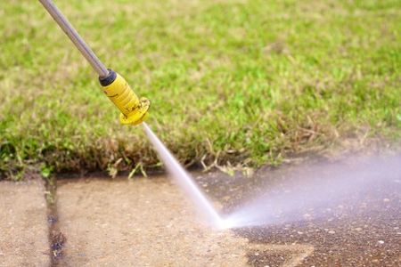 Tacoma’s Battle Against Moss and Algae: Pressure Washing Solutions